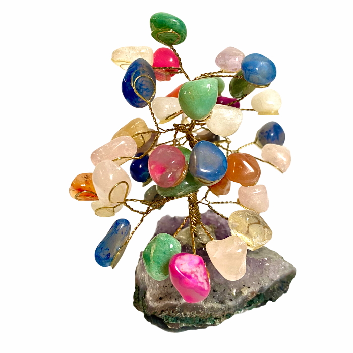 Bonsai em Pedras Naturais